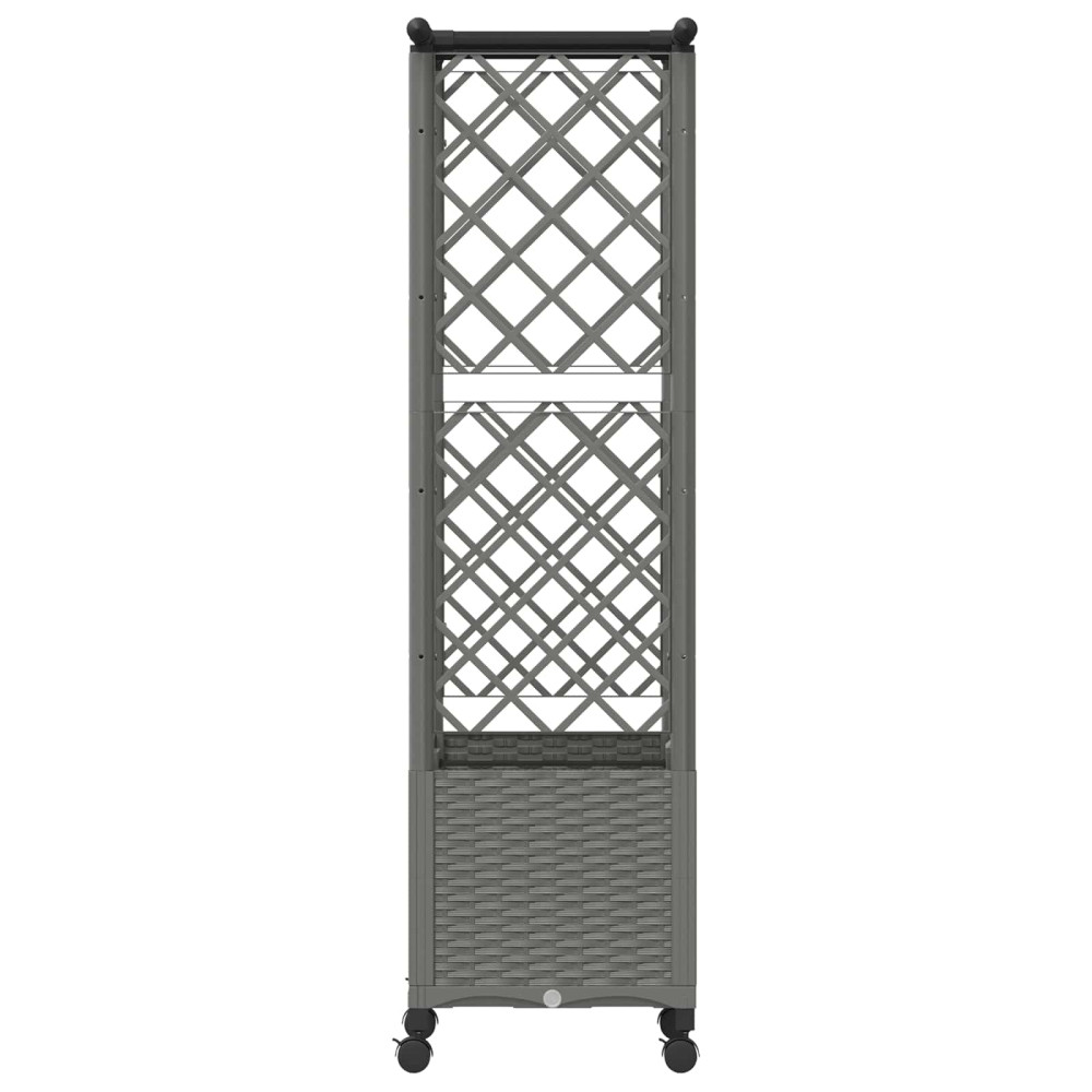 Produktbild för Upphöjd Bädd med Spaljé och Tak Ljusgrå 124,5 x 40 x 142 cm PP