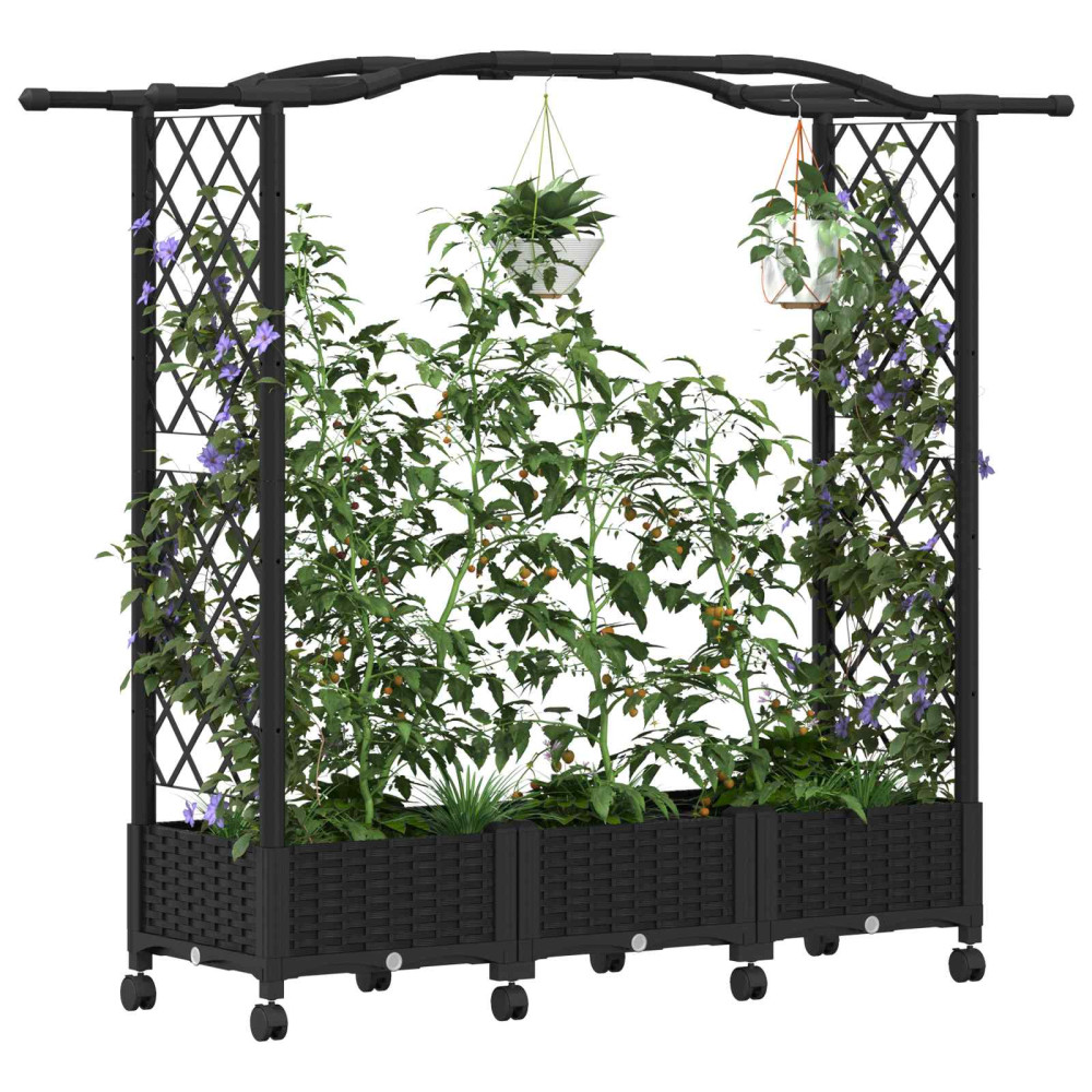 Produktbild för Upphöjd Bädd med Spaljé och Tak Svart 169 x 40 x 129 cm PP