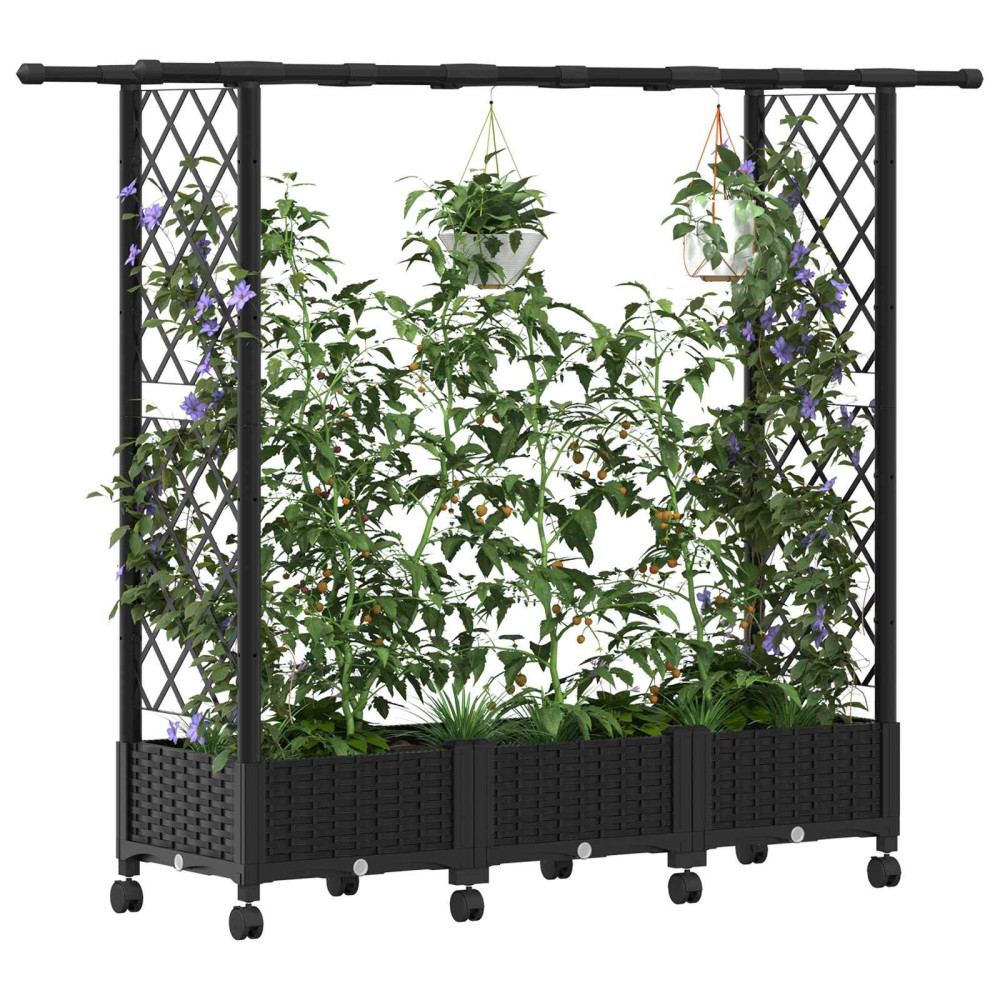 Produktbild för Upphöjd Bädd med Spaljé och Tak Svart 164 x 40 x 127 cm PP