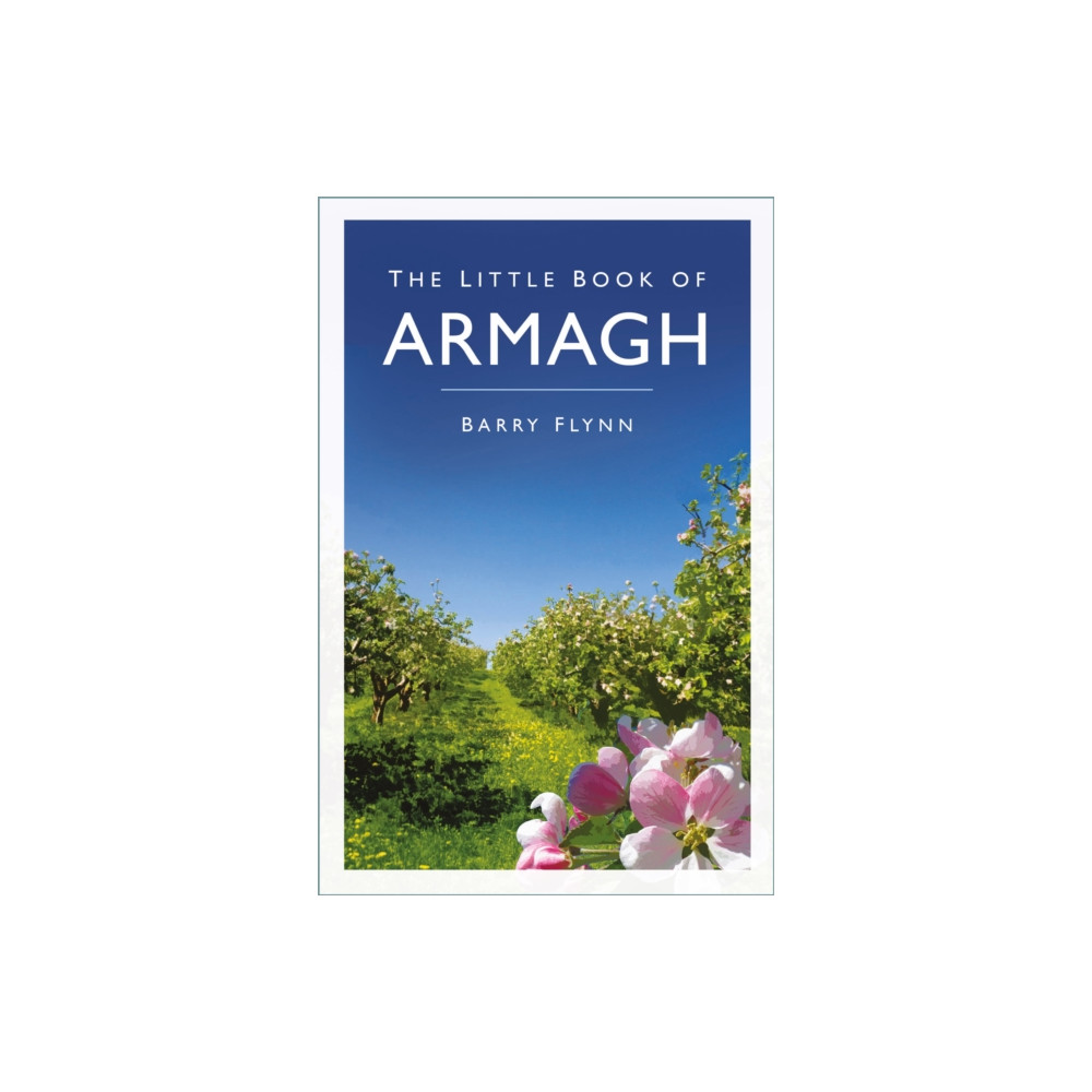 Produktbild för The Little Book of Armagh (häftad, eng)
