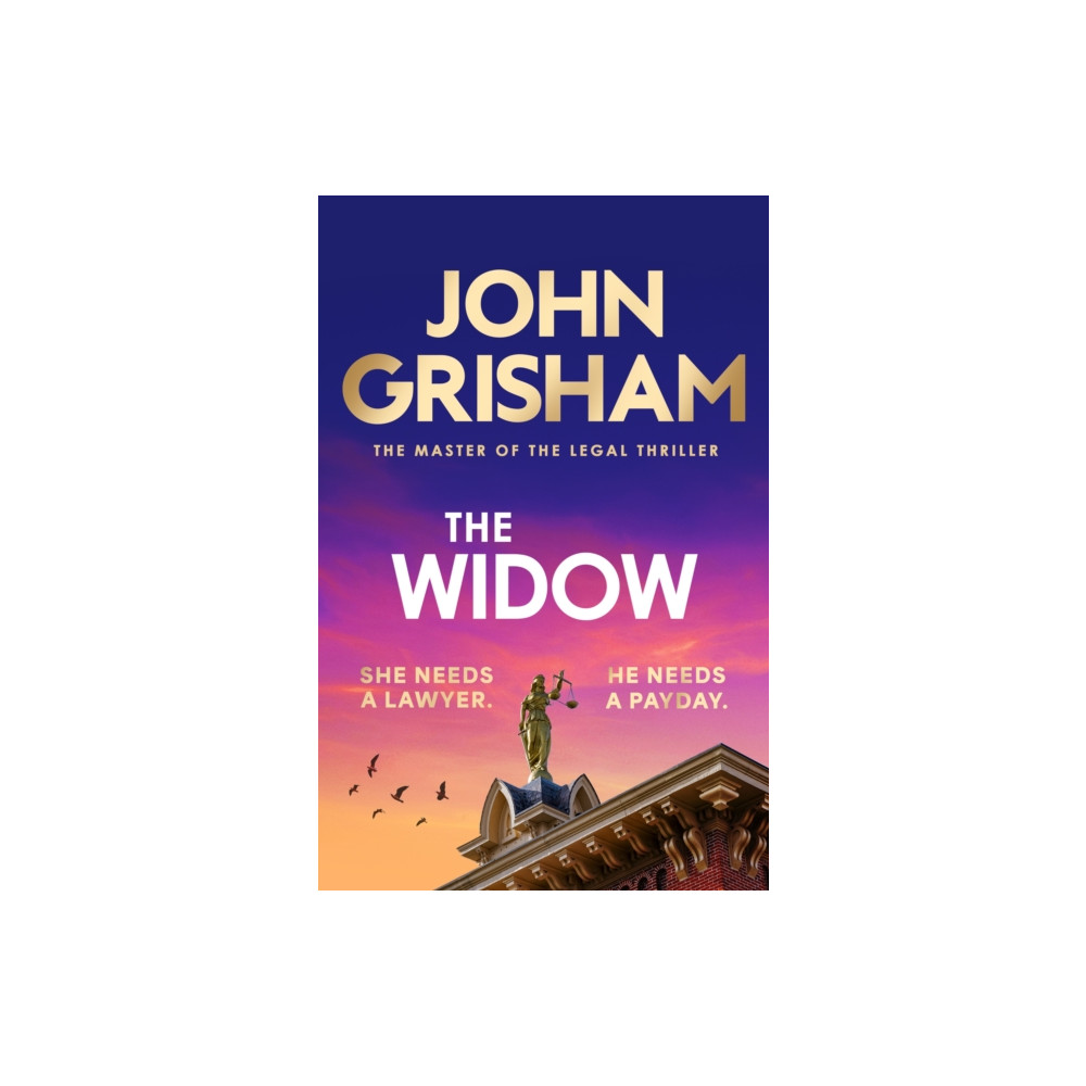 Produktbild för The Widow (häftad, eng)