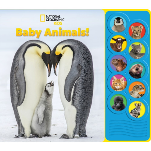 Phoenix International Publications, Incorporated National Geographic Kids: Baby Animals! Sound Book (bok, board book, eng)