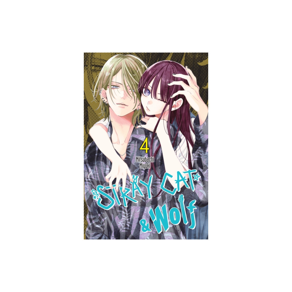 Produktbild för Stray Cat & Wolf, Vol. 4 (häftad, eng)