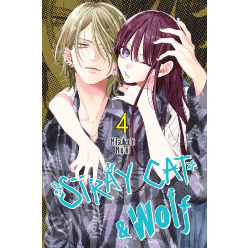 Little, Brown & Company Stray Cat & Wolf, Vol. 4 (häftad, eng)