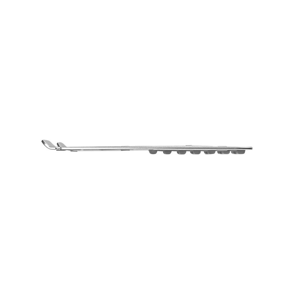 Produktbild för Neomounts NSLS085SILVER - ställ för bärbar dator