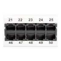 Produktbild för DIGITUS CAT 3 ISDN - patch-panel - 1U - 19"