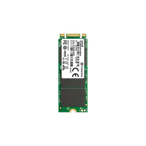 Transcend Information Transcend MTS600S - SSD - 64 GB - SATA 6Gb/s