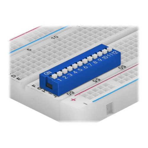 DeLOCK Delock DIP sliding switch 12-digit 2.54 mm pitch THT vertical - DIP-switch