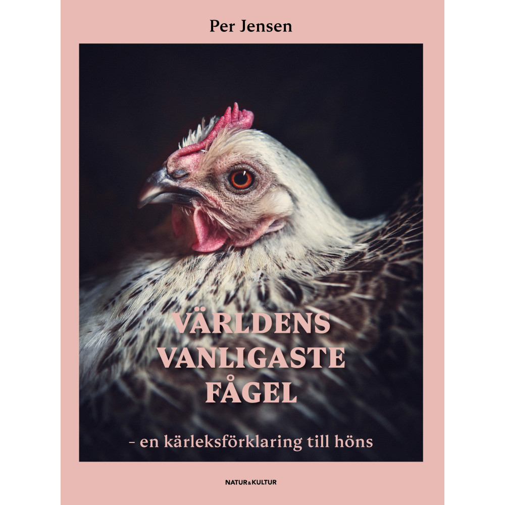 Produktbild för Världens vanligaste fågel : en kärleksförklaring till höns (bok, danskt band)