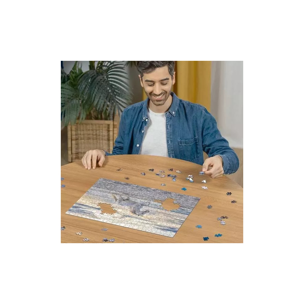 Produktbild för Ravensburger Delione 500 bitar