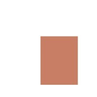 Produktbild för CLINIQUE TRUE BRONZE PRESSED POWDER BRONZER 03 SUNBLUSHED 9....