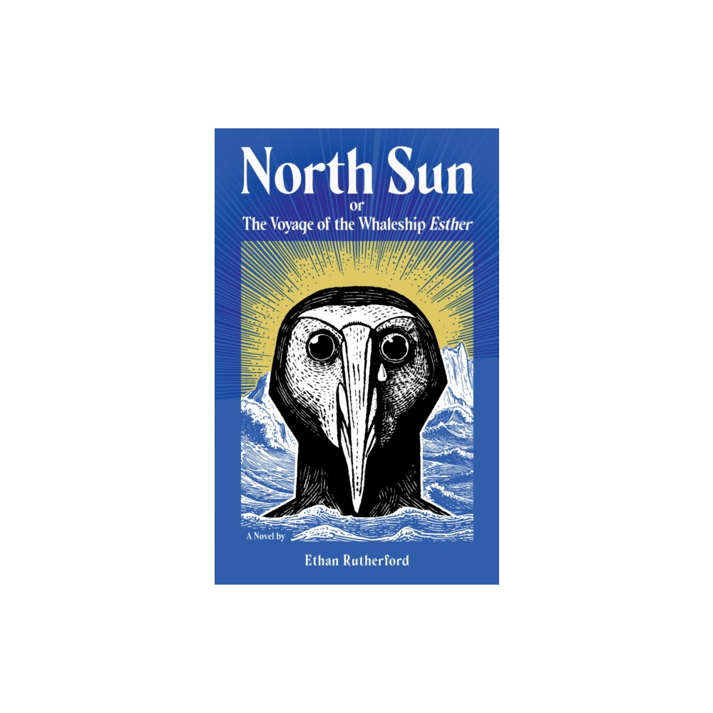 Produktbild för North Sun (häftad, eng)