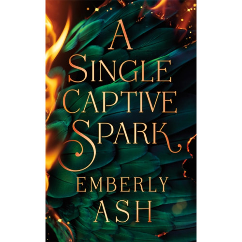 Amazon Publishing A Single Captive Spark (häftad, eng)