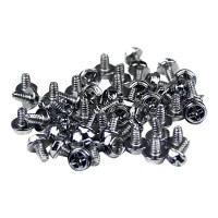 Produktbild för StarTech.com Replacement PC Mounting Screws #6-32 x 1/4in Long Standoff - Screw kit - silver - 0.2 in (pack of 50) - SCREW6_32 - skruvsats