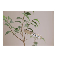 Produktbild för Brother TZe-S211 - bandlaminat - 1 kassett(er) - Rulle (0,6 cm x 8 m)