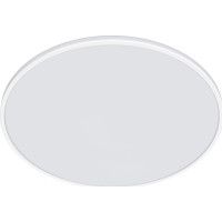 Produktbild för Philips Funktionell Ozziet taklampa 36 W, LED, Glödlampan/-l...