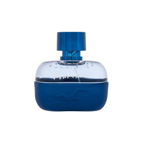 Hollister Hollister Festival Nite for Him EDT M 100ml