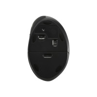 Produktbild för Kensington Pro Fit Ergo Wireless Mouse