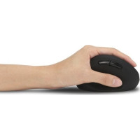 Produktbild för Kensington Pro Fit Ergo Wireless Mouse