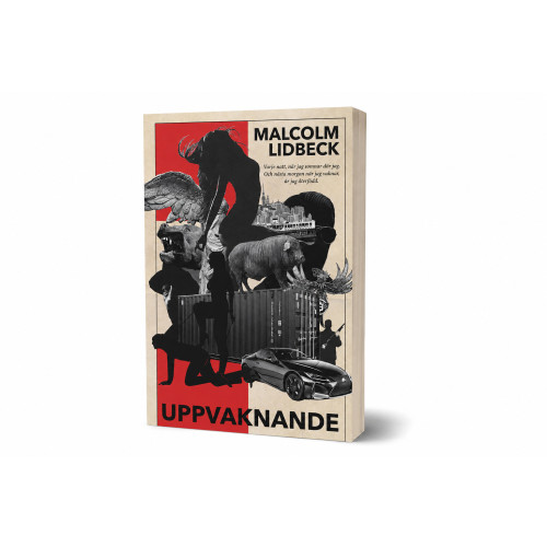 Malcolm Lidbeck Uppvaknande (häftad)