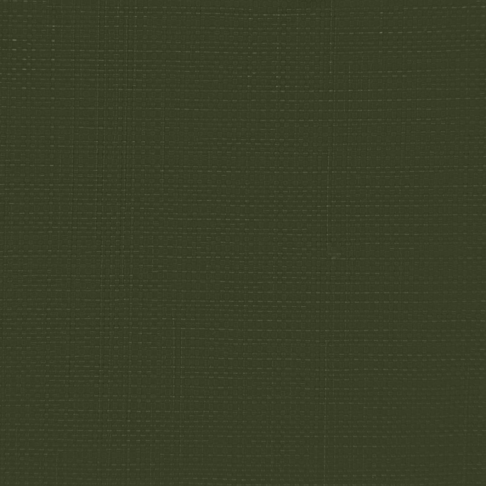Produktbild för Tarpaulin med öglor Grön 4 x 6 m 260 gsm PE