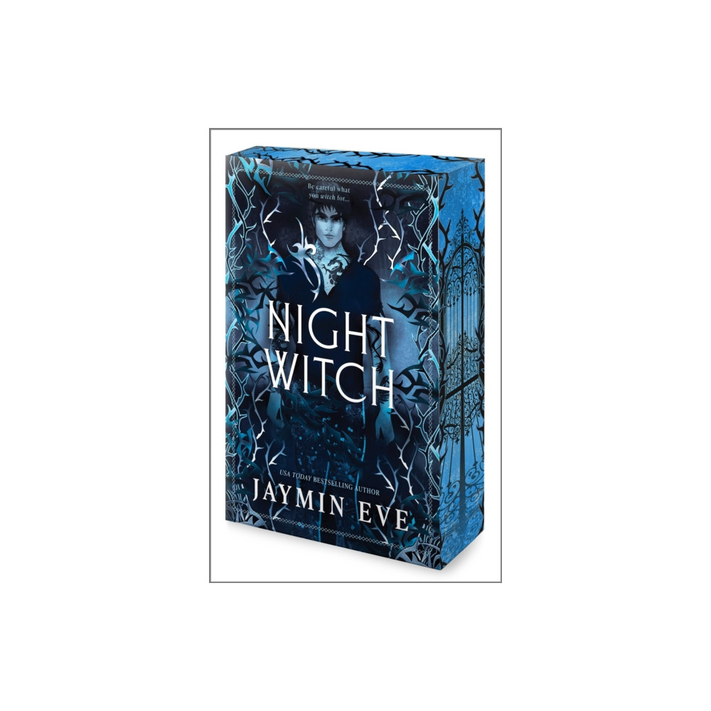 Produktbild för Night Witch (häftad, eng)