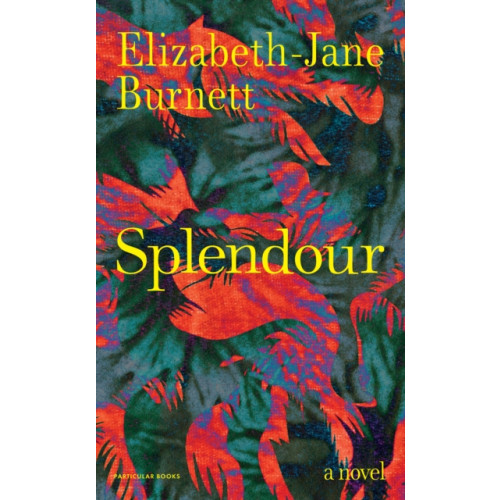 Penguin books ltd Splendour (inbunden, eng)
