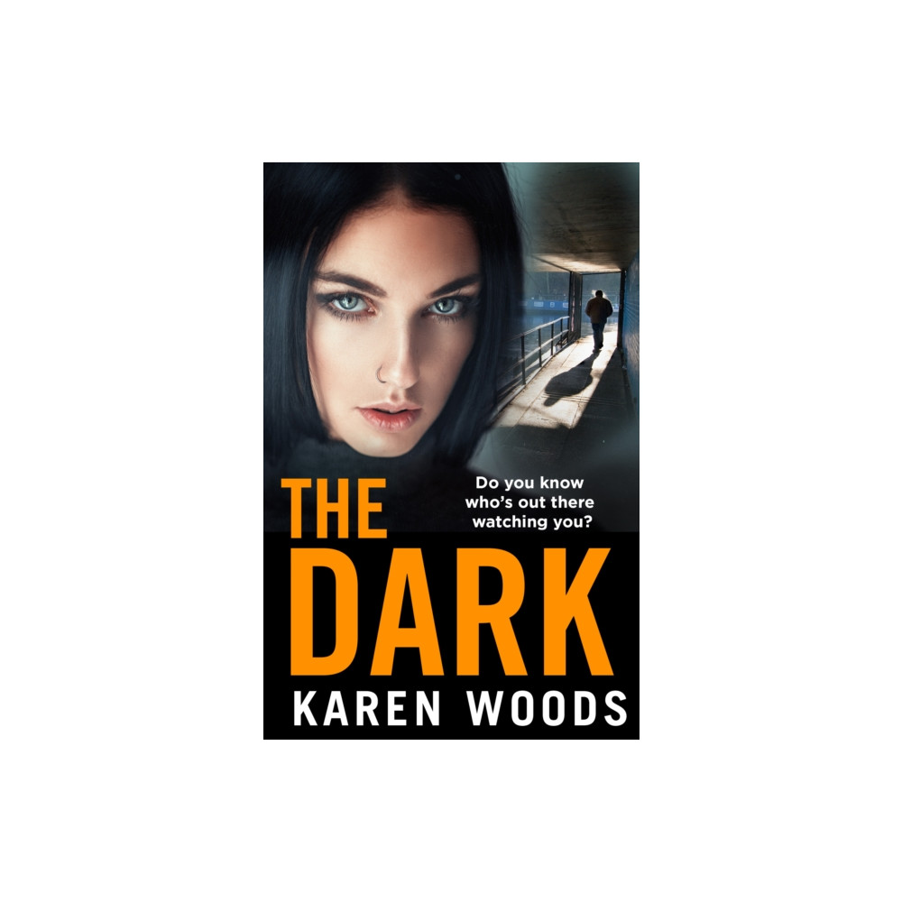 Produktbild för The Dark (häftad, eng)