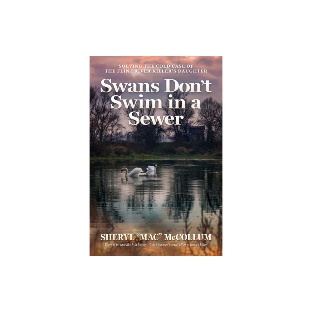 Produktbild för Swans Don't Swim in a Sewer (häftad, eng)