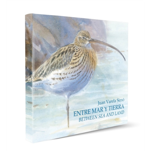 Alada Books, S.L. Between Sea and Land / Entre Mar y Tierra (inbunden, eng)