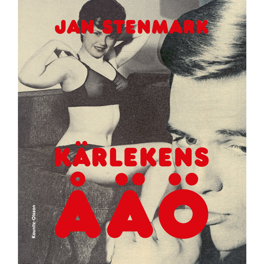 Produktbild för Kärlekens ÅÄÖ (bok, danskt band)