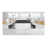 Produktbild för Ricoh P 501 - skrivare - svartvit - LED