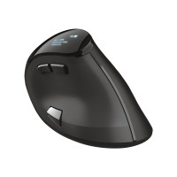 Produktbild för Trust Voxx - vertikal mus - Bluetooth, 2.4 GHz