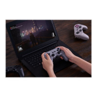 Produktbild för 8Bitdo Pro 2 - Hall Effect Joystick - spelkontroll - trådlös - Bluetooth