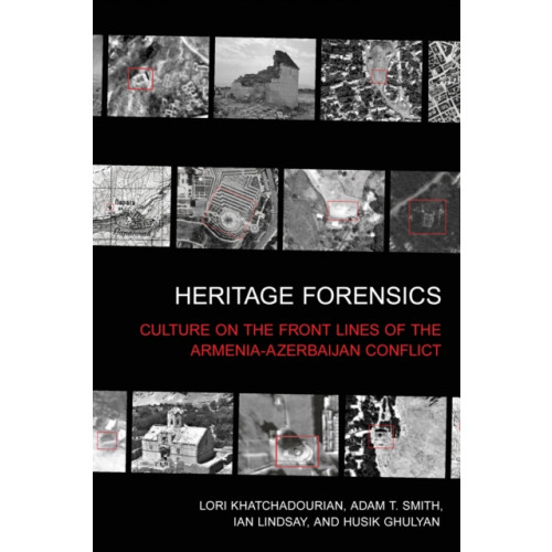 Cornell University Press Heritage Forensics (häftad, eng)
