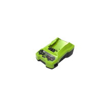 Produktbild för Greenworks 2932407, Batteriladdare, Greenworks, Grön, AC, 22...