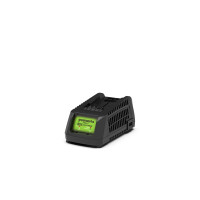 Produktbild för Greenworks 2932407, Batteriladdare, Greenworks, Grön, AC, 22...