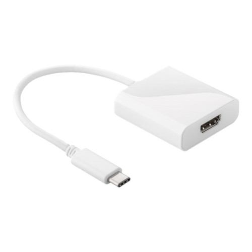 WENTRONIC GMBH goobay - extern videoadapter