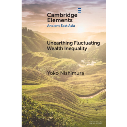 Cambridge University Press Unearthing Fluctuating Wealth Inequality (häftad, eng)