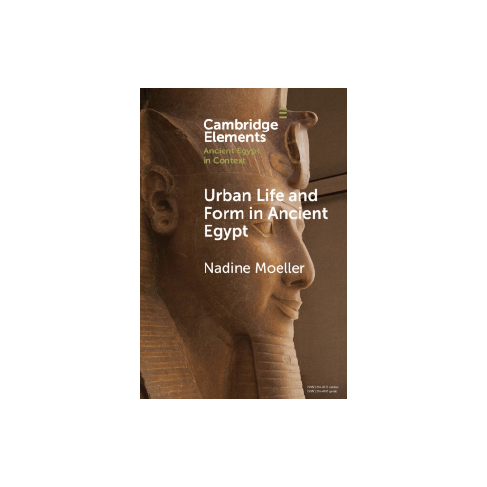 Produktbild för Urban Life and Form in Ancient Egypt (häftad, eng)