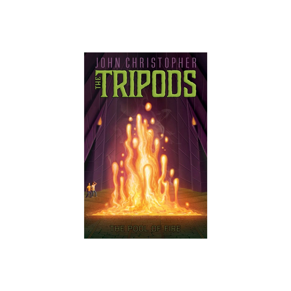 Produktbild för The Pool of Fire (häftad, eng)