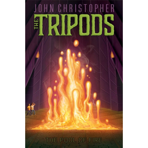 ALADDIN The Pool of Fire (häftad, eng)