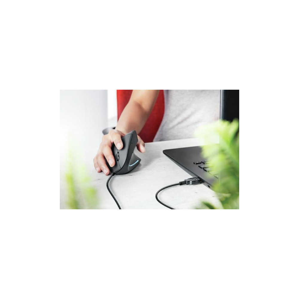 Produktbild för Trust Verto - mus - USB