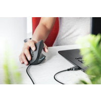 Produktbild för Trust Verto - mus - USB