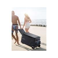 Produktbild för Anker EverFrost Powered Cooler 50 - portabel kyl/frys - bärbar - bärbar