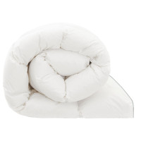 Produktbild för Duntäcke FULDA 240 x 260 cm Vinter 300 GSM 90% Gåsdun Vit