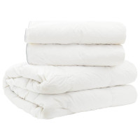 Produktbild för Duntäcke FULDA 200 x 240 cm 4 årstider 310 GSM 90% Gåsdun Vit