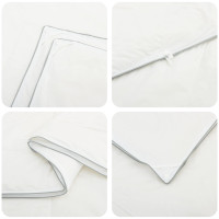Produktbild för Duntäcke FULDA 200 x 240 cm 4 årstider 310 GSM 90% Gåsdun Vit