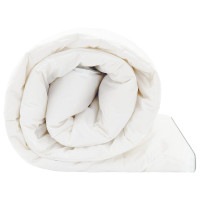 Produktbild för Duntäcke FULDA 220 x 260 cm 4 årstider 310 GSM 90% Gåsdun Vit