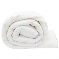Produktbild för Duntäcke TRIER 240x260 cm 4 årstider 220 GSM Vit Hypoallergen